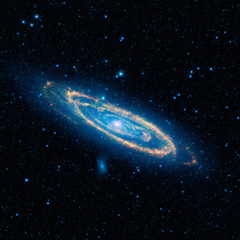 WISE Infrared View of Andromeda Galaxy and Companions